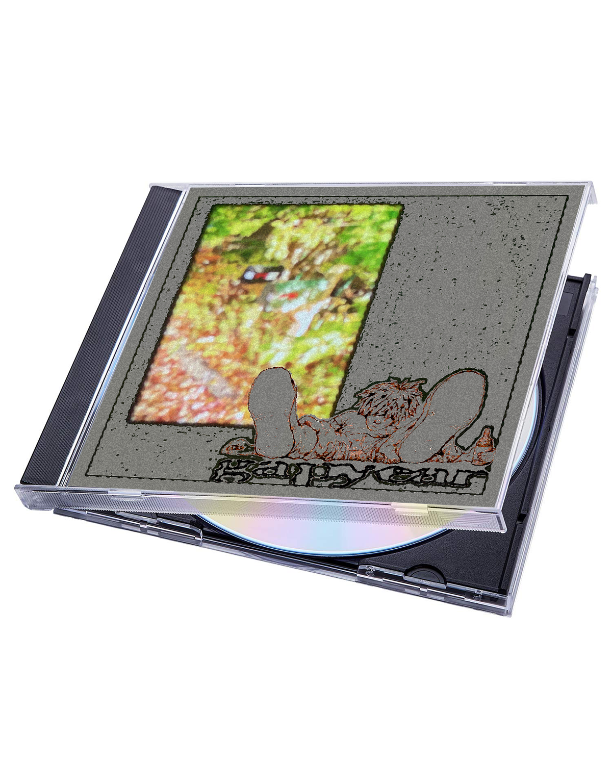 CDs